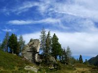 Bäume und Felskolosse auf der Jamnigalm